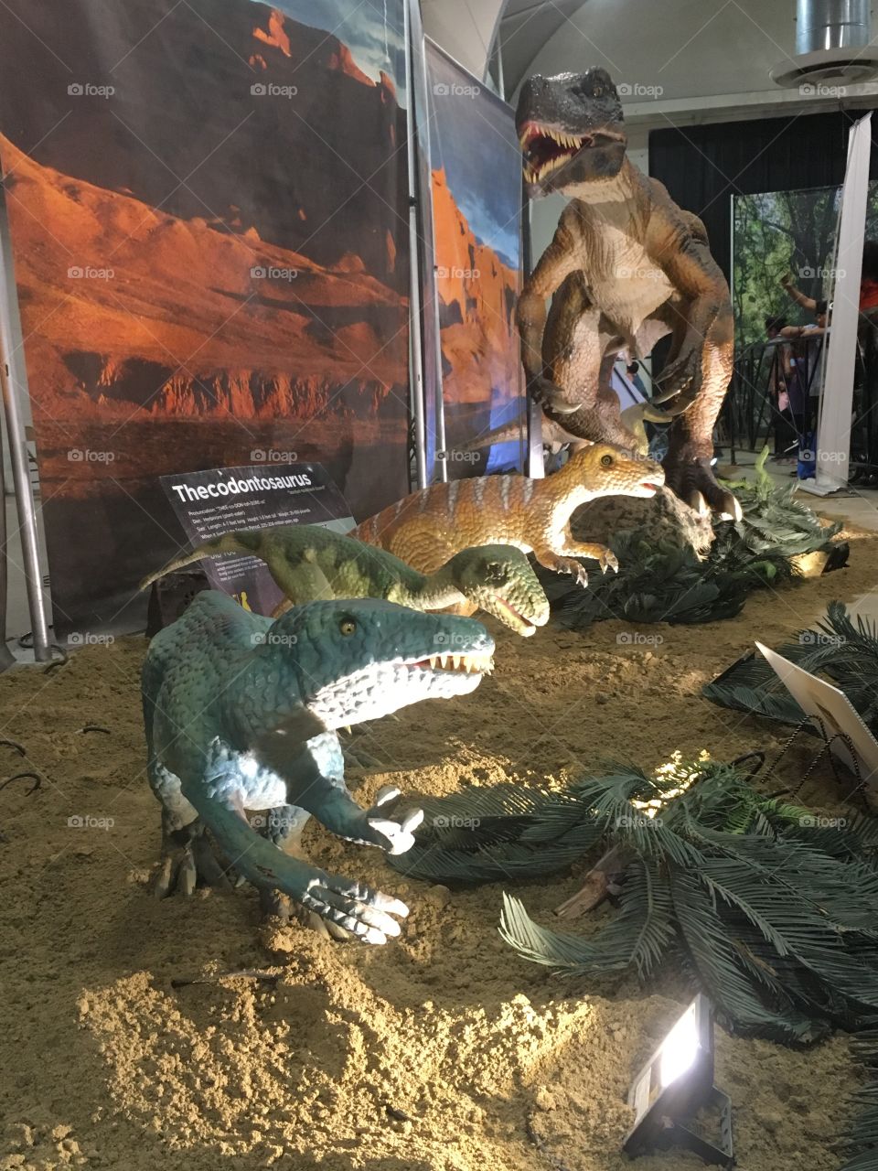 Indoor dinosaur robot display