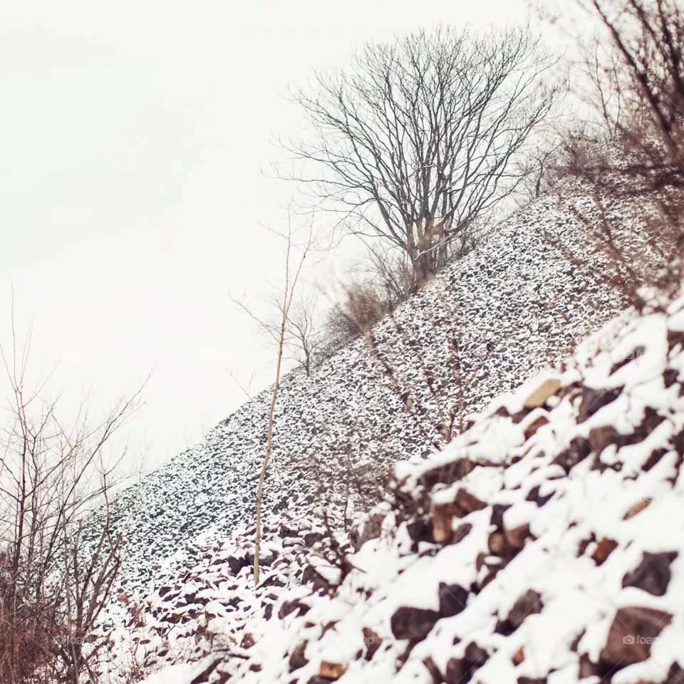 Snow bank.
