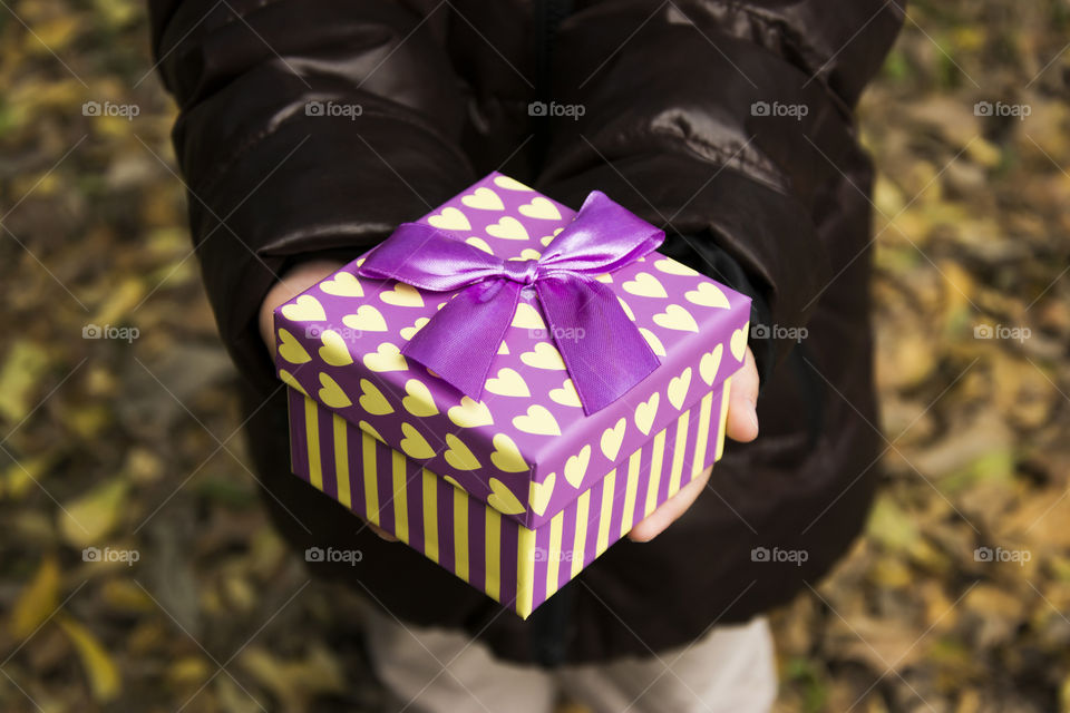kid giving a gift box. kid giving a beautiful purple gift box in autumn environment