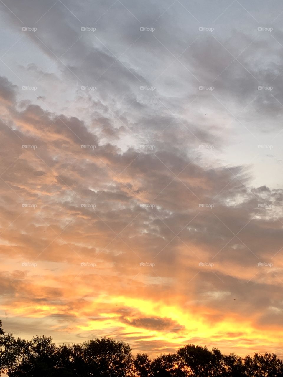 A fiery sky with visible sun rays through clouds over a line of trees - portrait