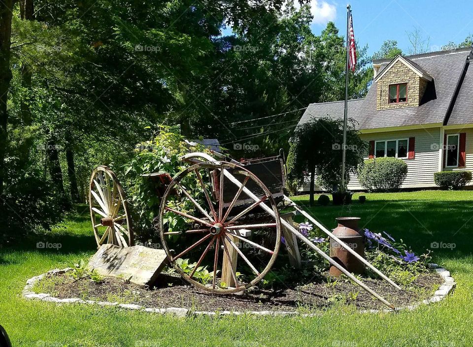 old wheel barrow