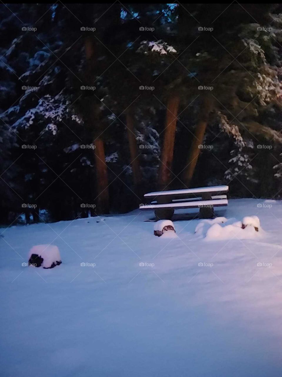 snowy mountain camp