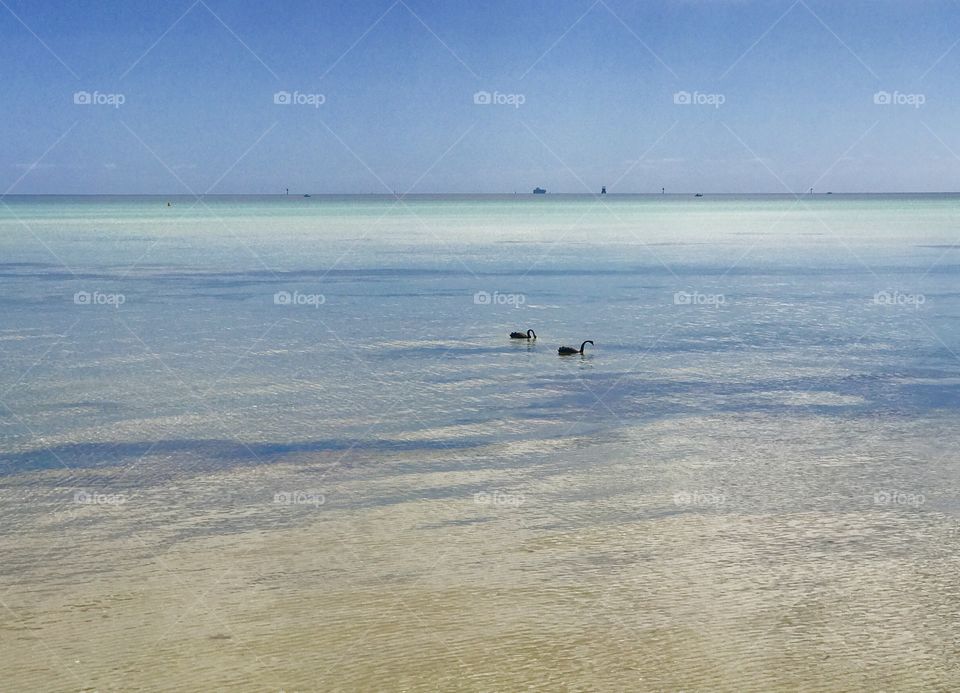 Calm seas at Capel Sound