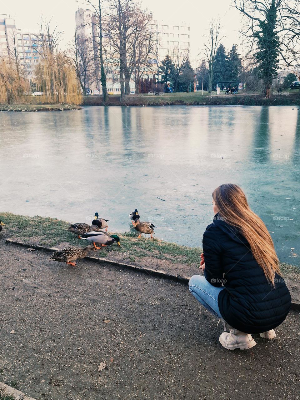 the young girl feeding the wild ducks