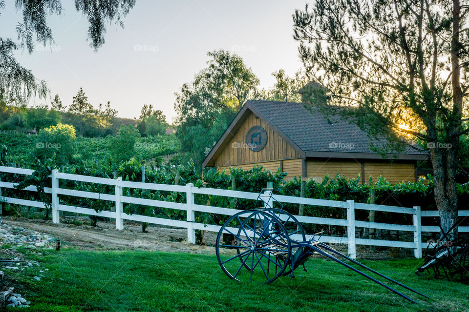 Long Shadow Barn