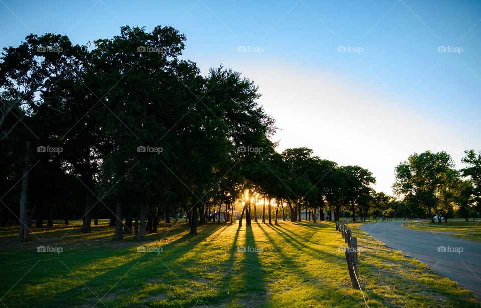 Sunset in Texas at a Park