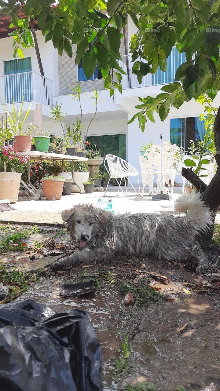 Playing in the water