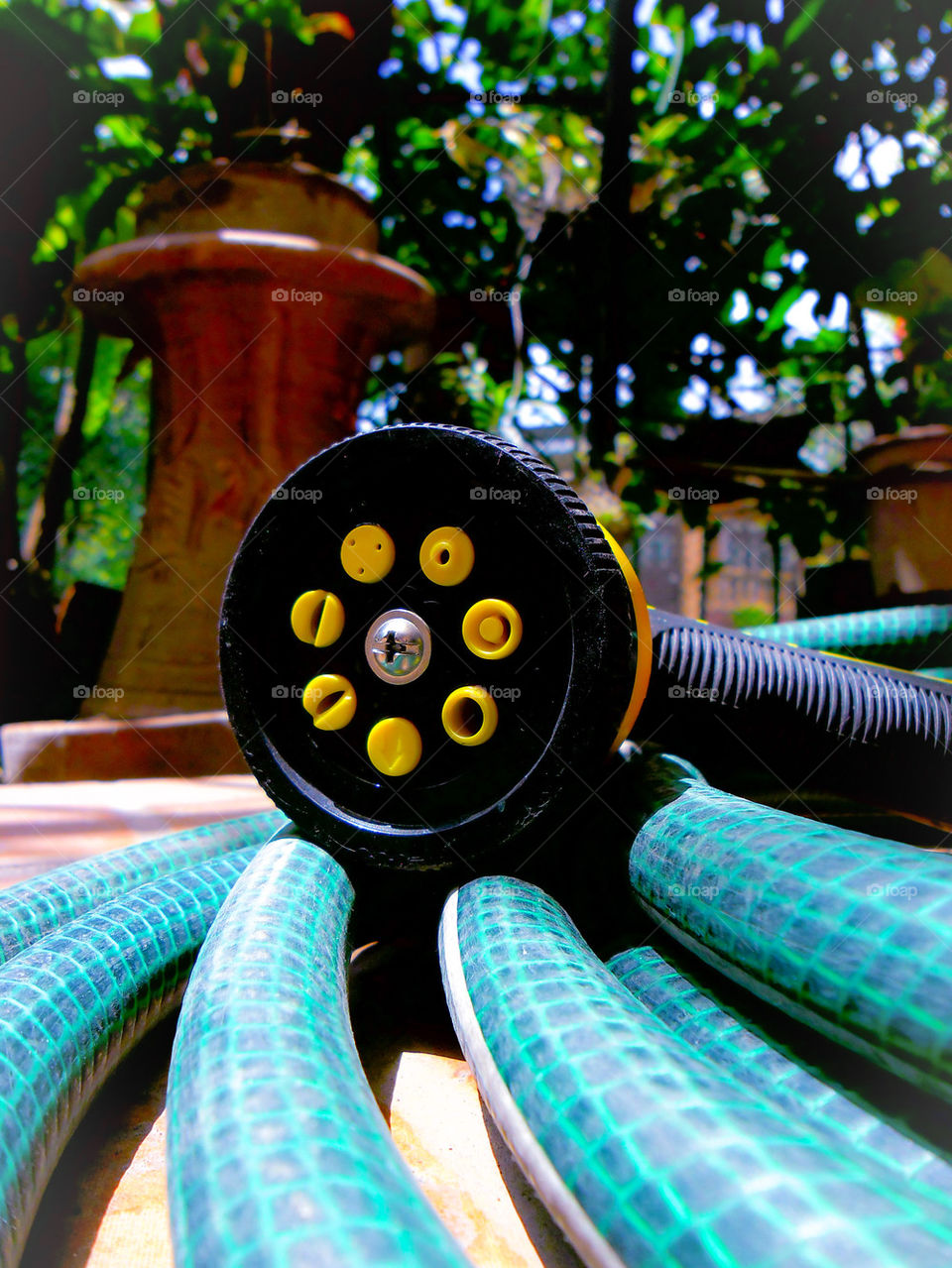 garden hose in a pocket garden