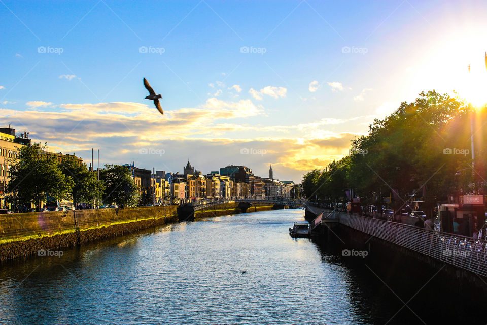 Sunset in the River Liffey. A beautiful click in the sunset at Liffey River. 