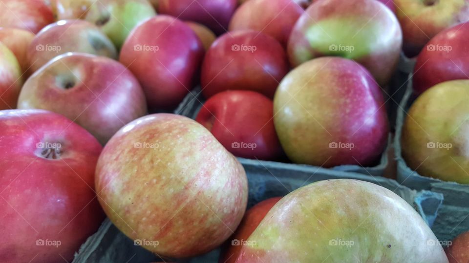 day at the farmers market