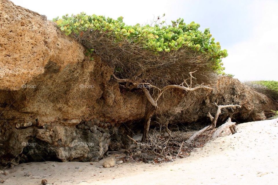 There's always a way