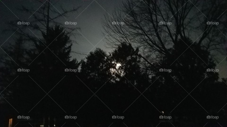 before the sun, Black Friday