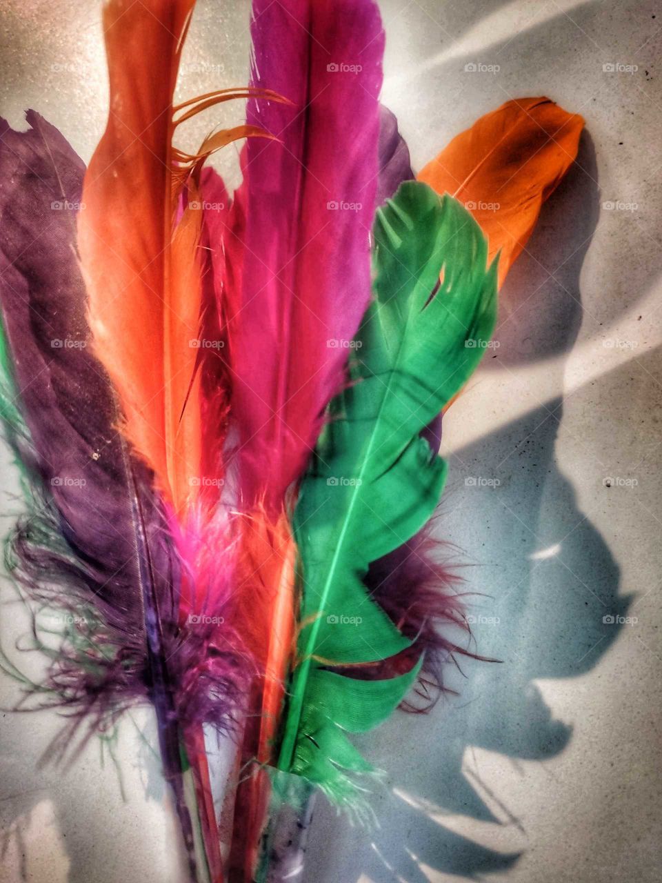 colorful rainbow artificial bird feathers