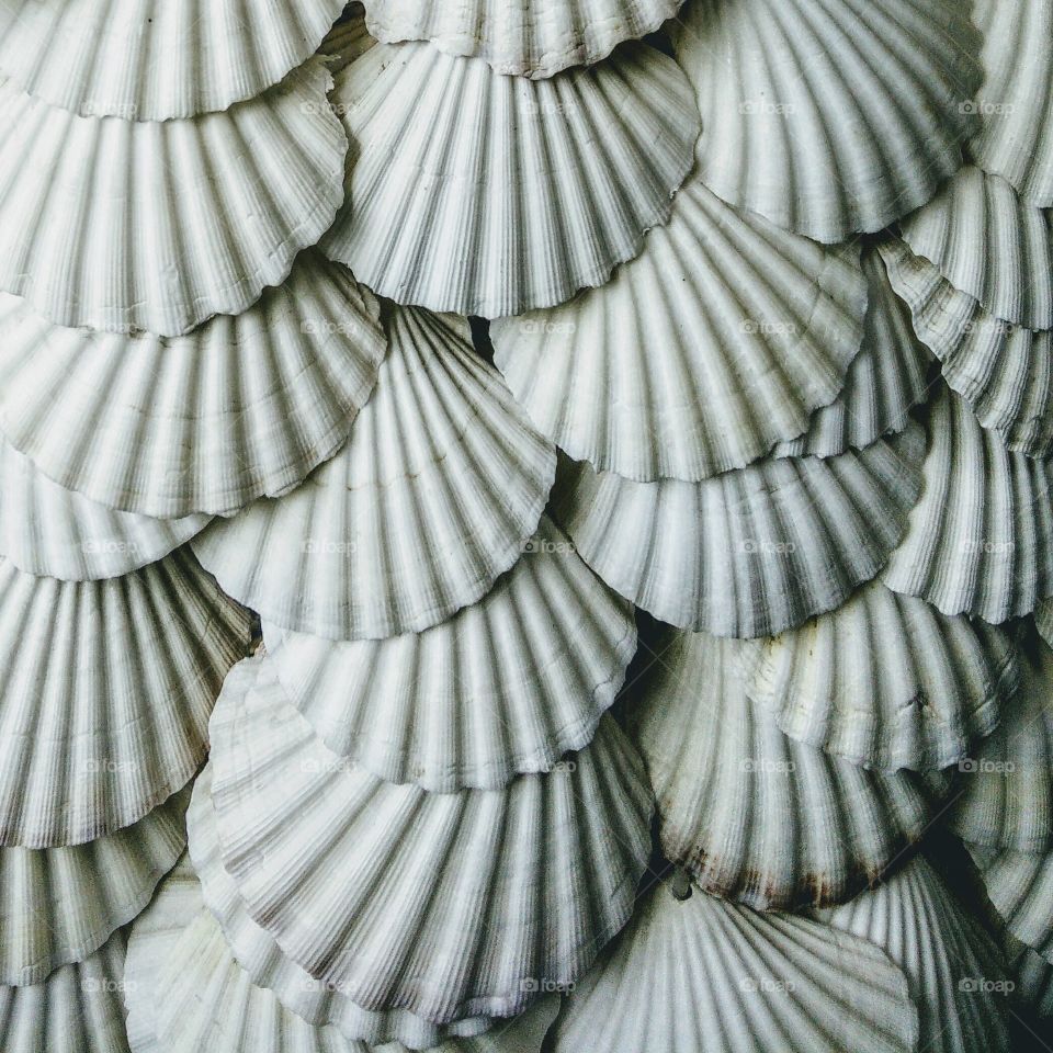 Shells layered on more shells