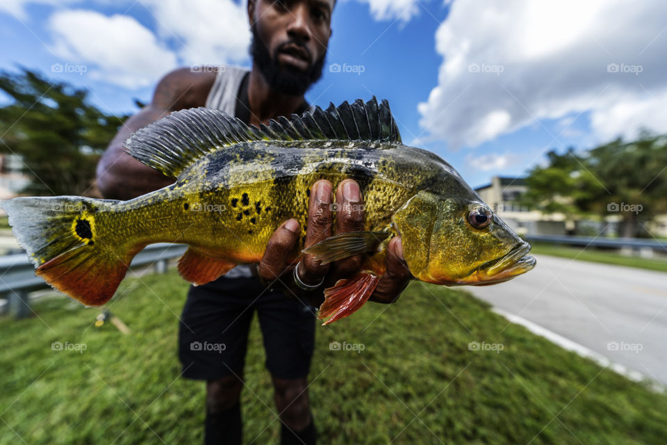 Holding a Peacock Bass