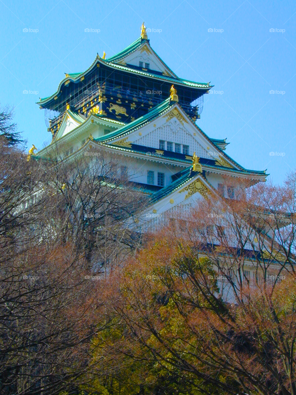 osaka japan nature tree art by cmosphotos