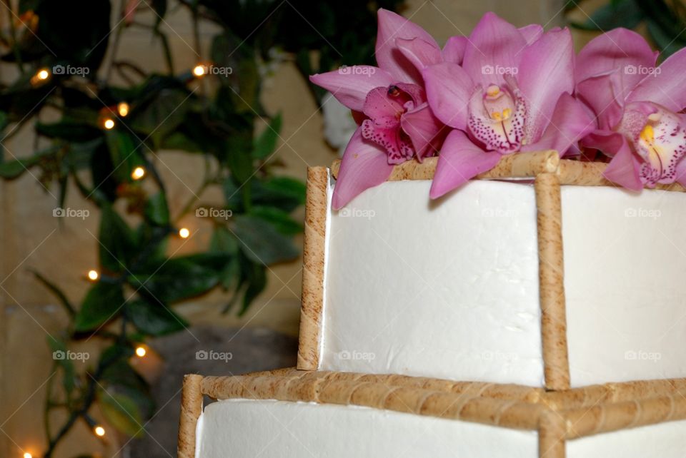 Flower, No Person, Decoration, Christmas, Candle