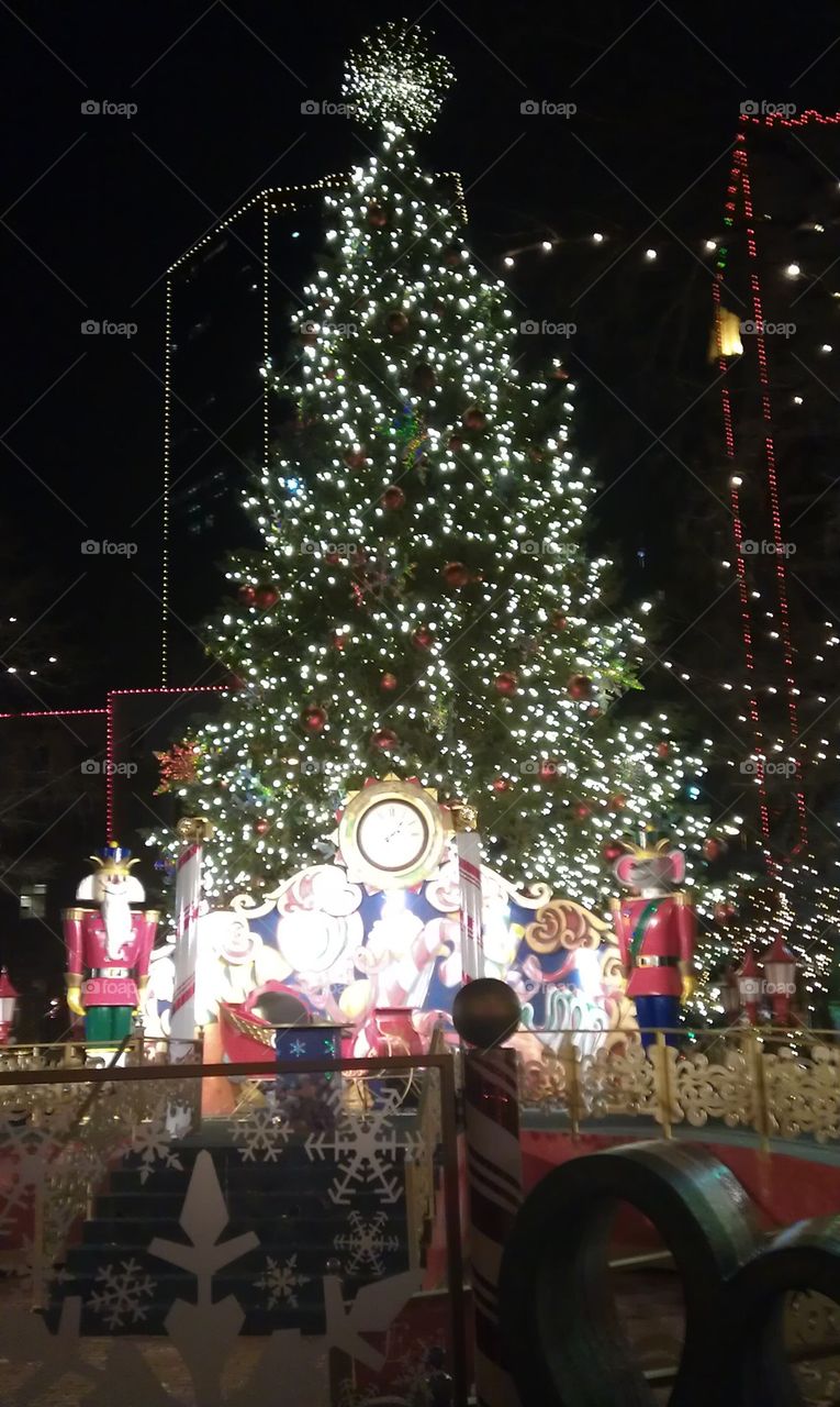 Christmas Tree FortWorth