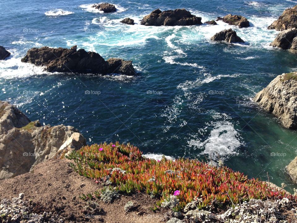 Bodega Head. A whale watching hike along the Pacific coast offered breathtaking panoramas. 