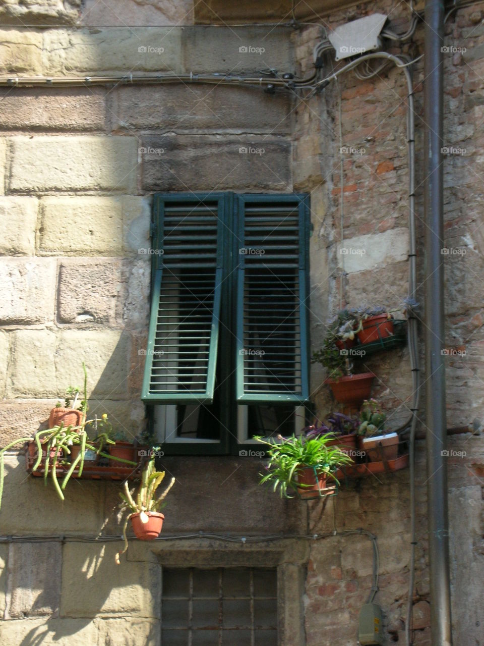 Windows of Italy 4