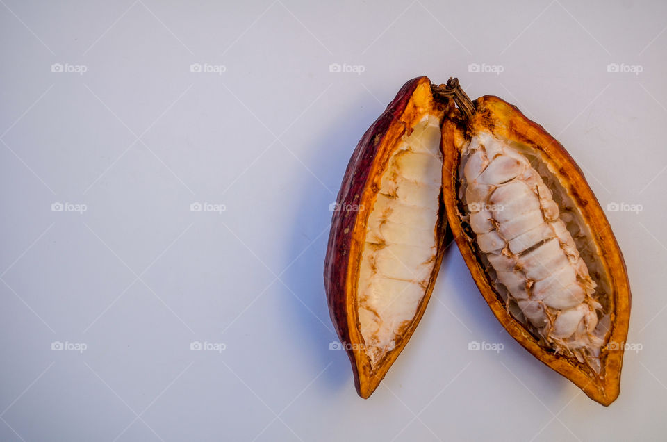 brazilian fruits: cocoa