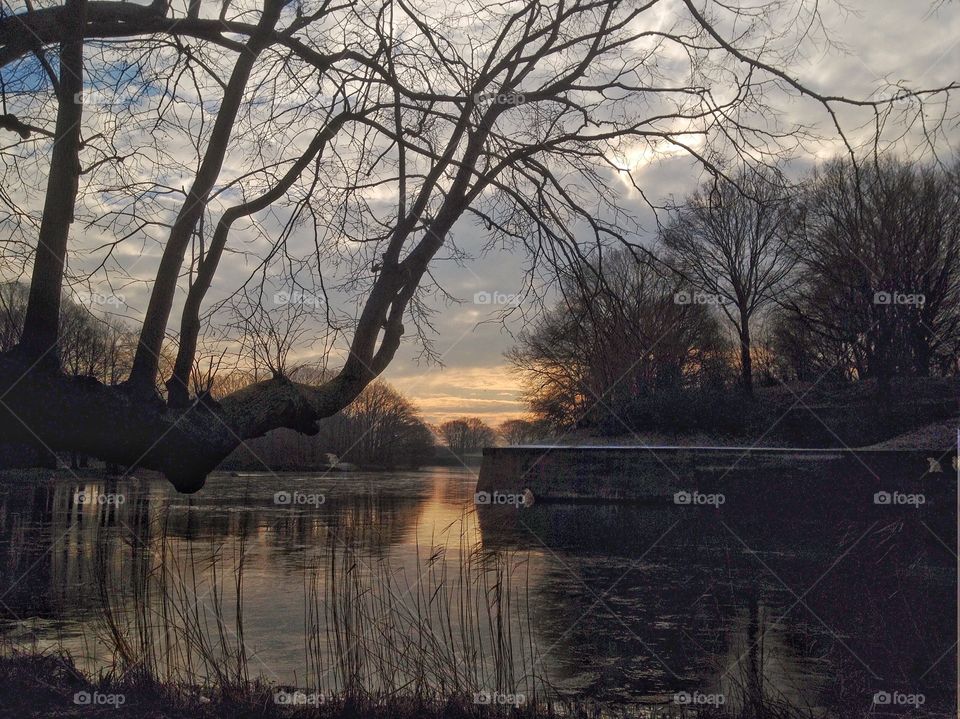 Dutch landscape series