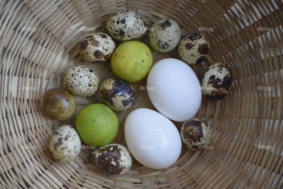 eggs