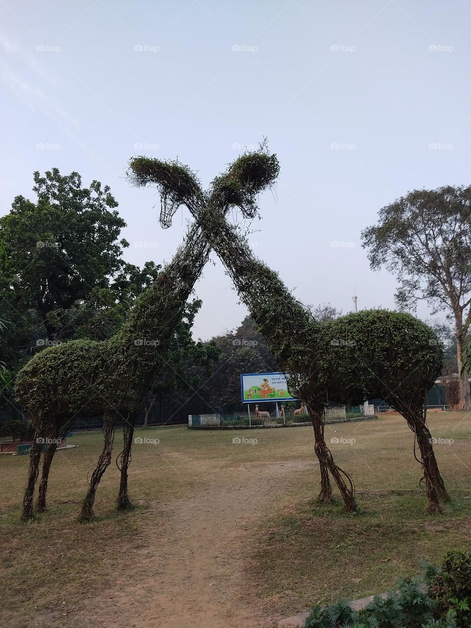 Beautiful giraffe design with plants in the garden.