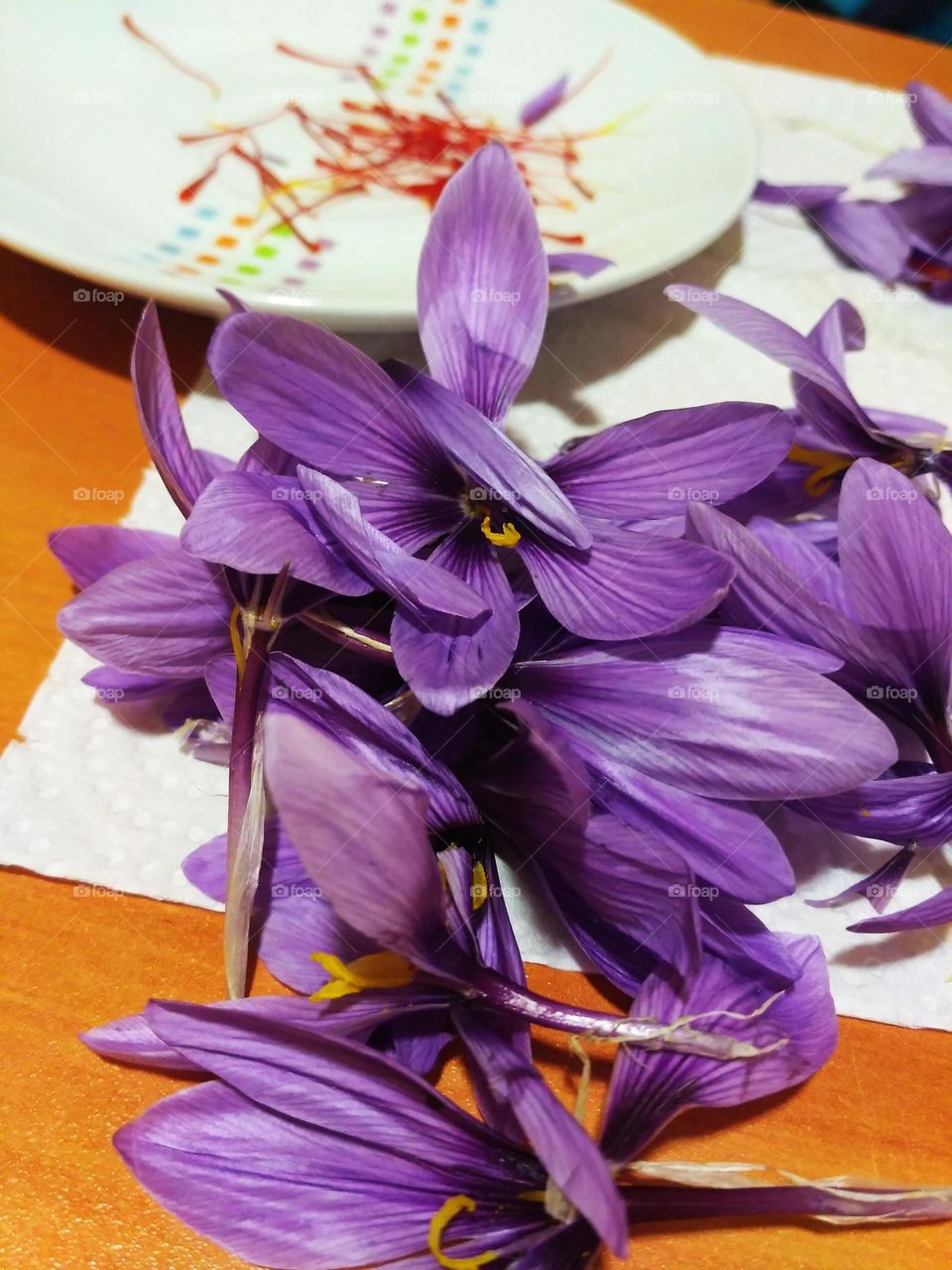 Spain Saffron