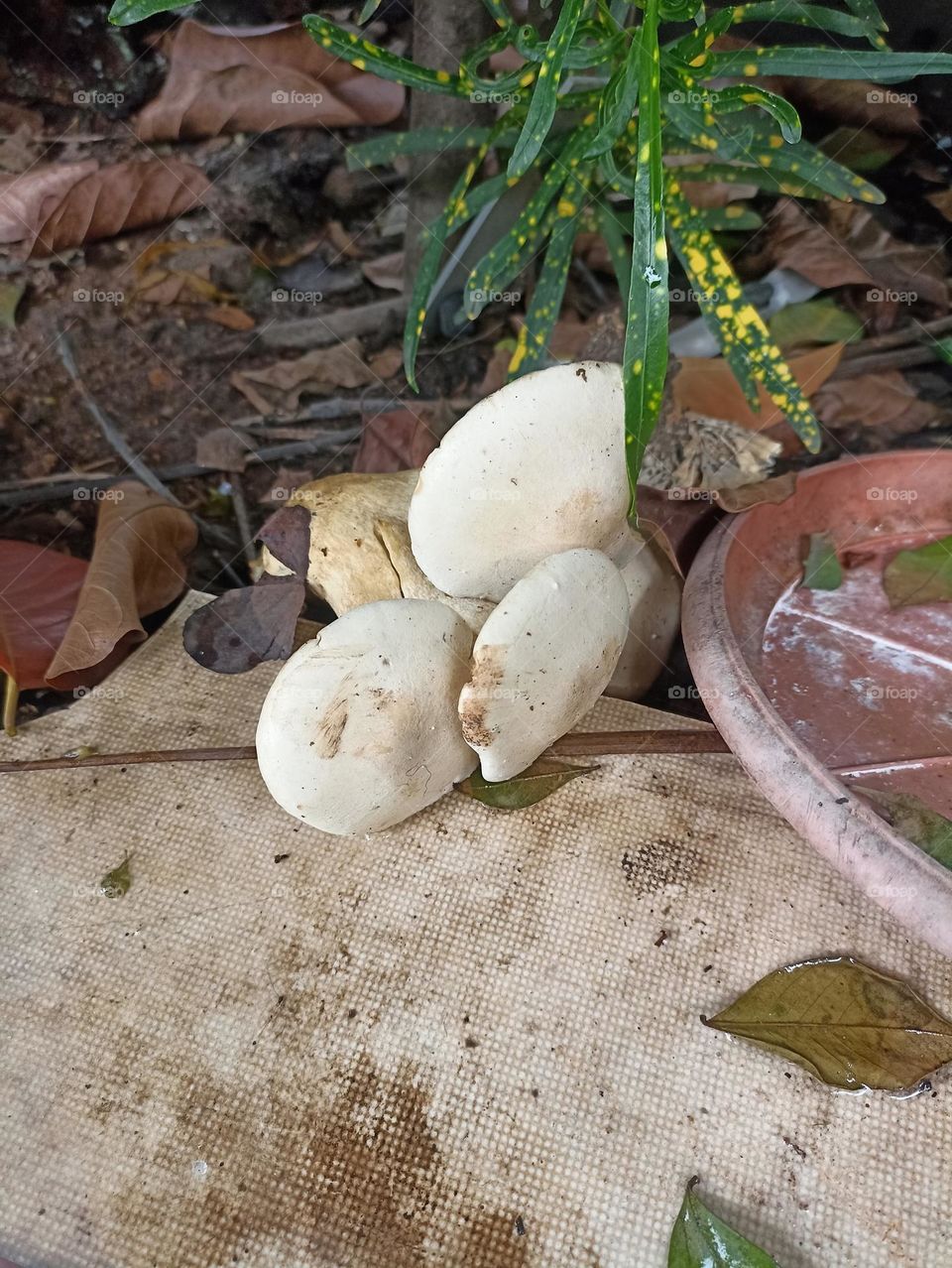 learn how to see and realize every thing  connects to everything