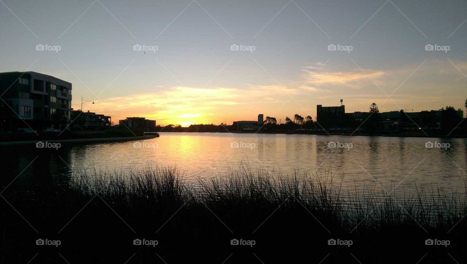 sunset walk in suburbia