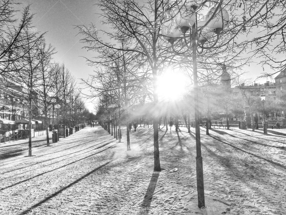 winter stockholm