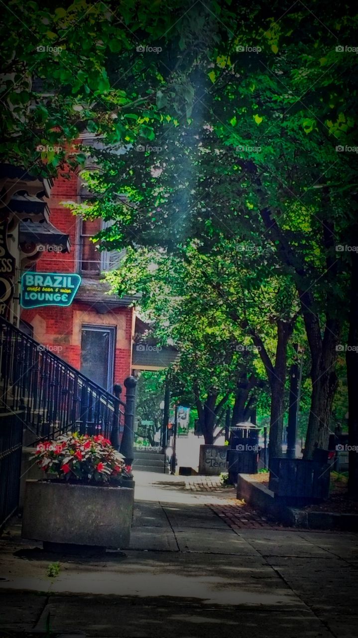 Spring shining through the trees. Downtown Jamestown NY