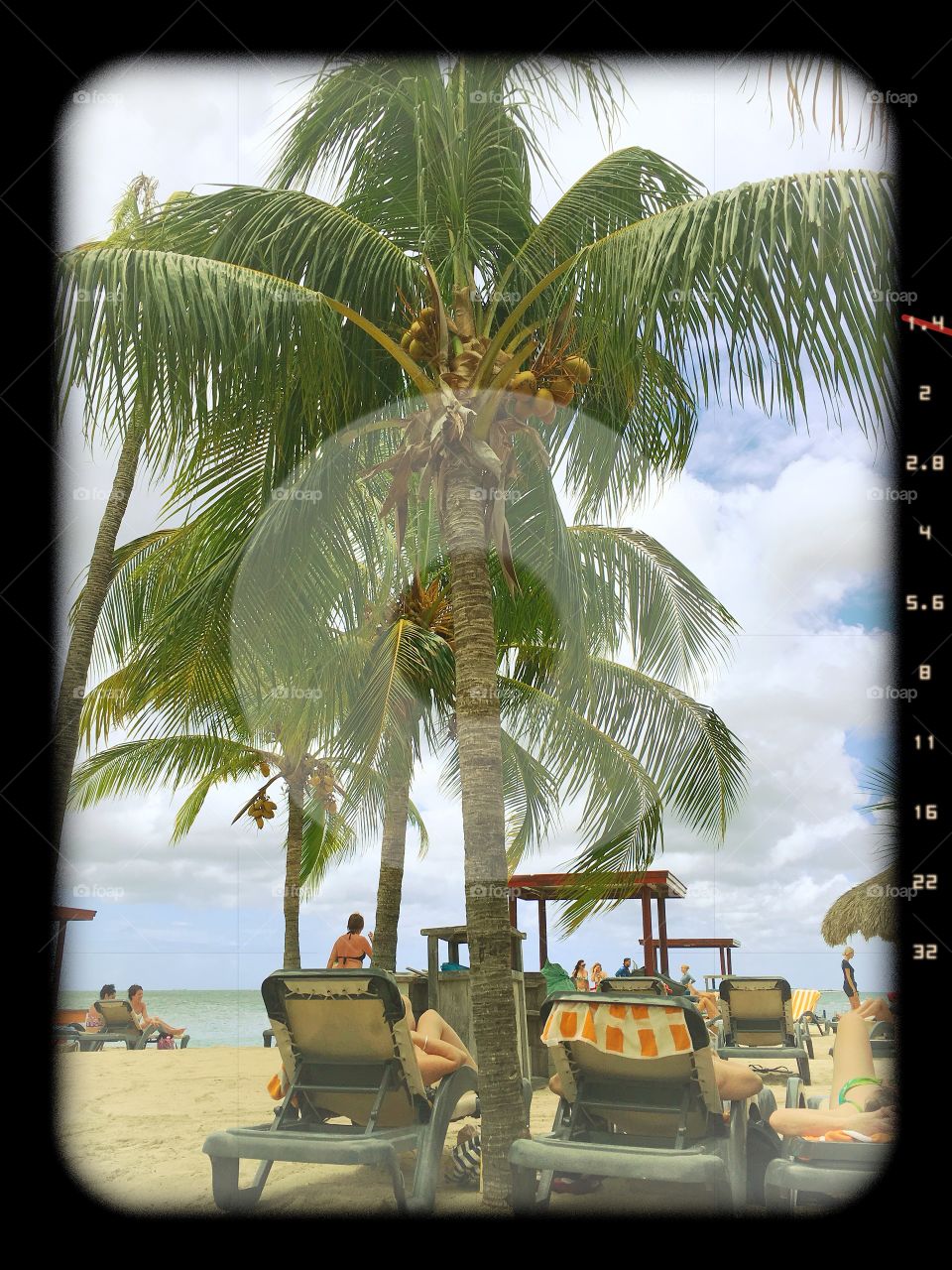 Palm tree in my sites.  Taking a picture on the beautiful beach in Curaçao.  People are enjoying the sunshine and warm climate 