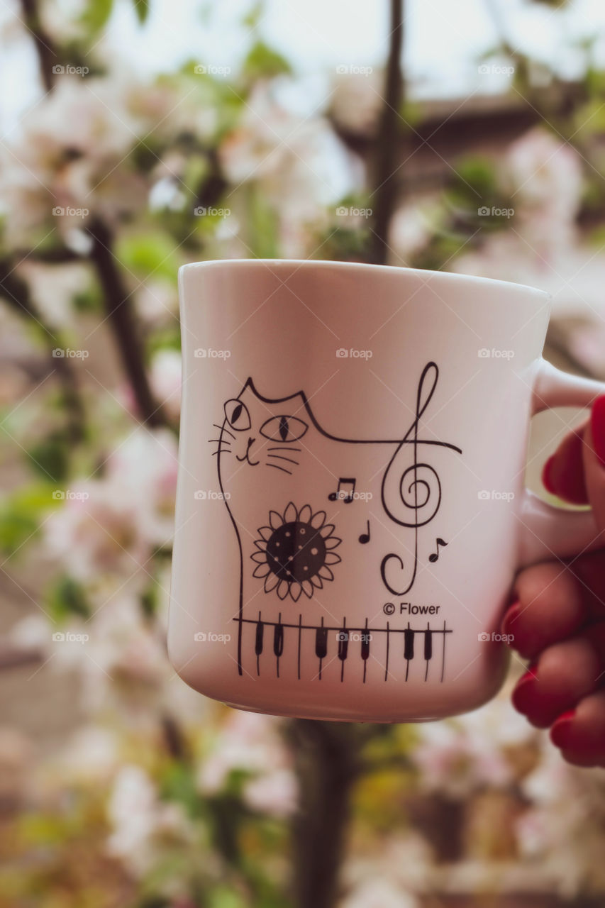 A cup of coffee, music, spring and march cats