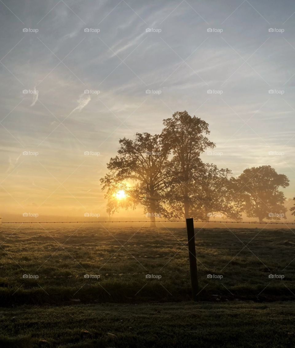 Sunrise in the country