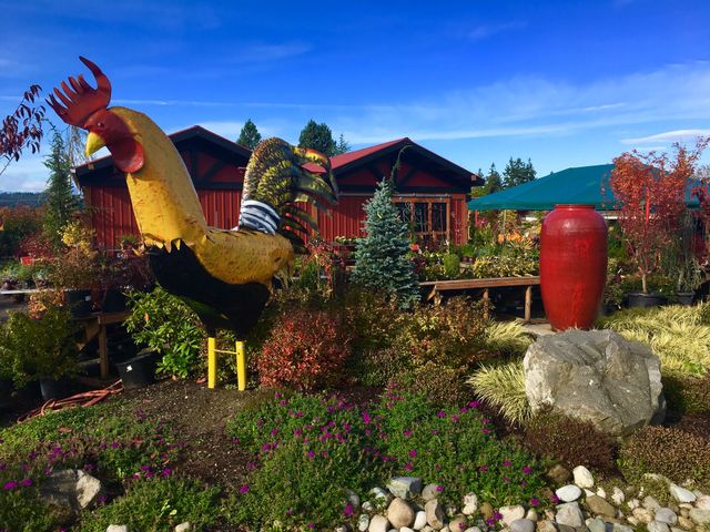 Giant Metal Rooster Urban Garden Sculpture 