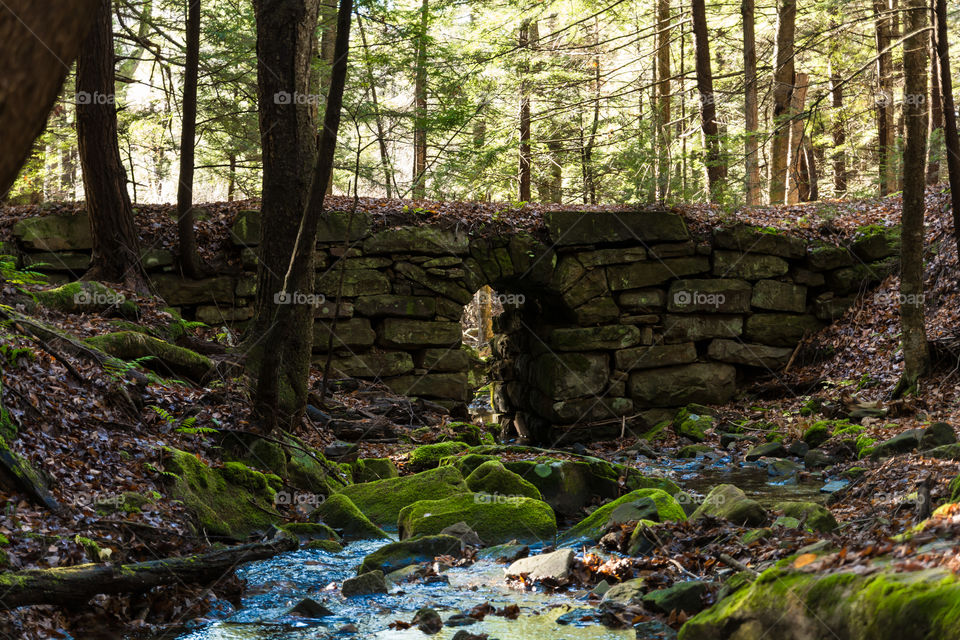 Old arch bridge in forest