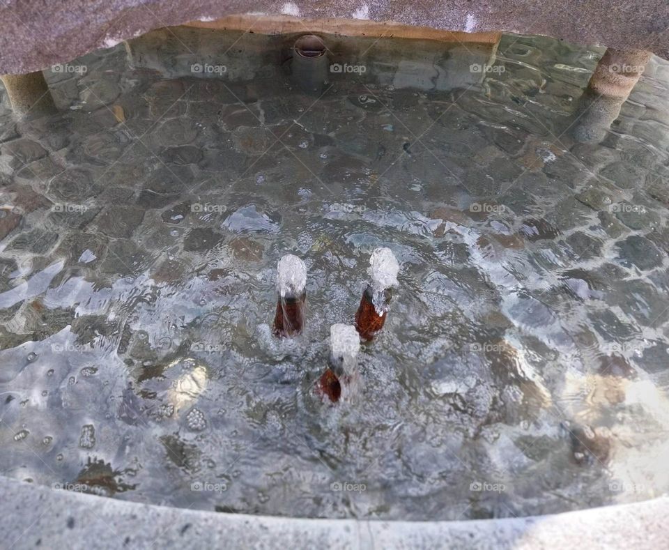 fountain by the church