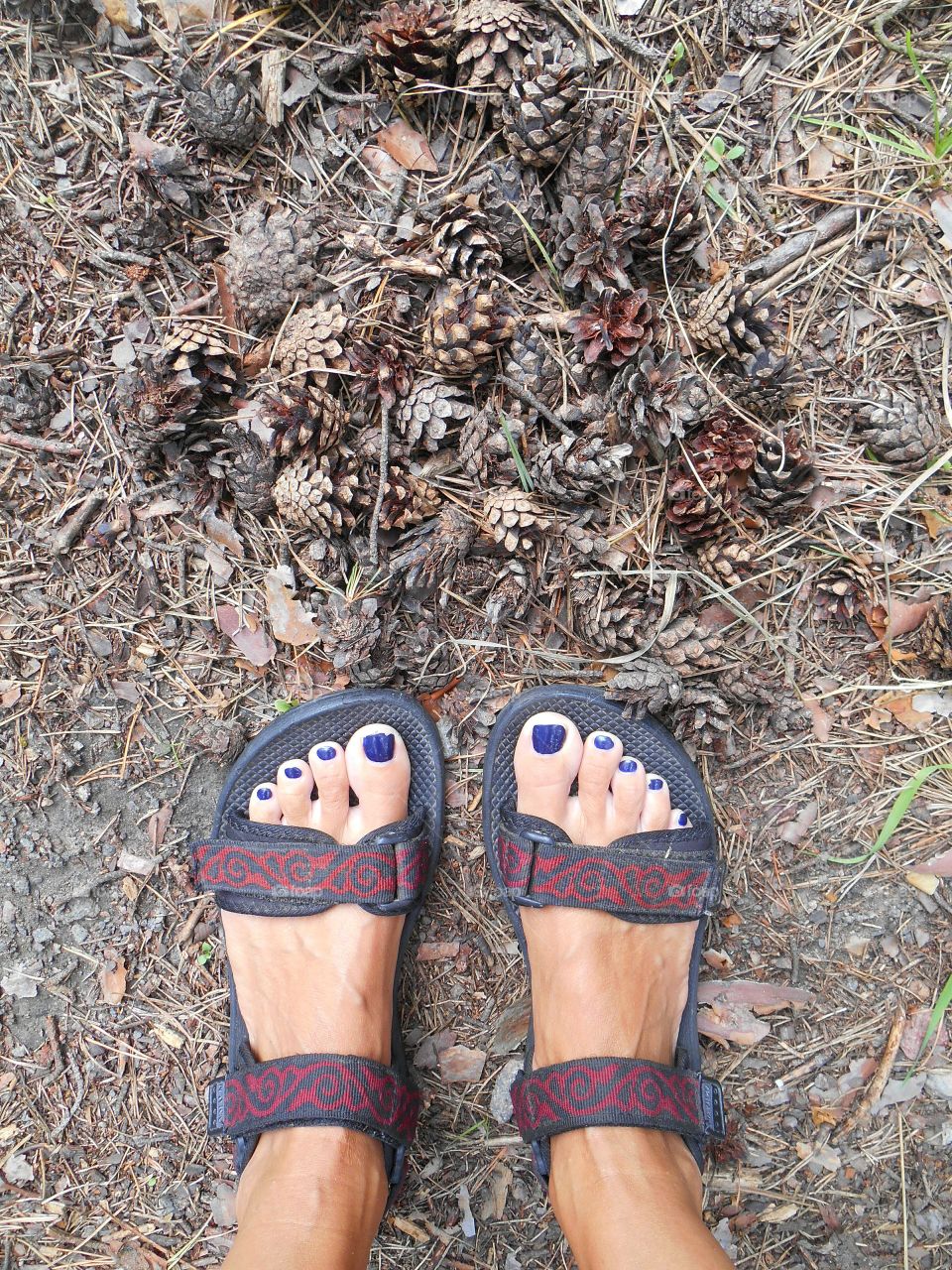 bare feet shoes and cones nature texture