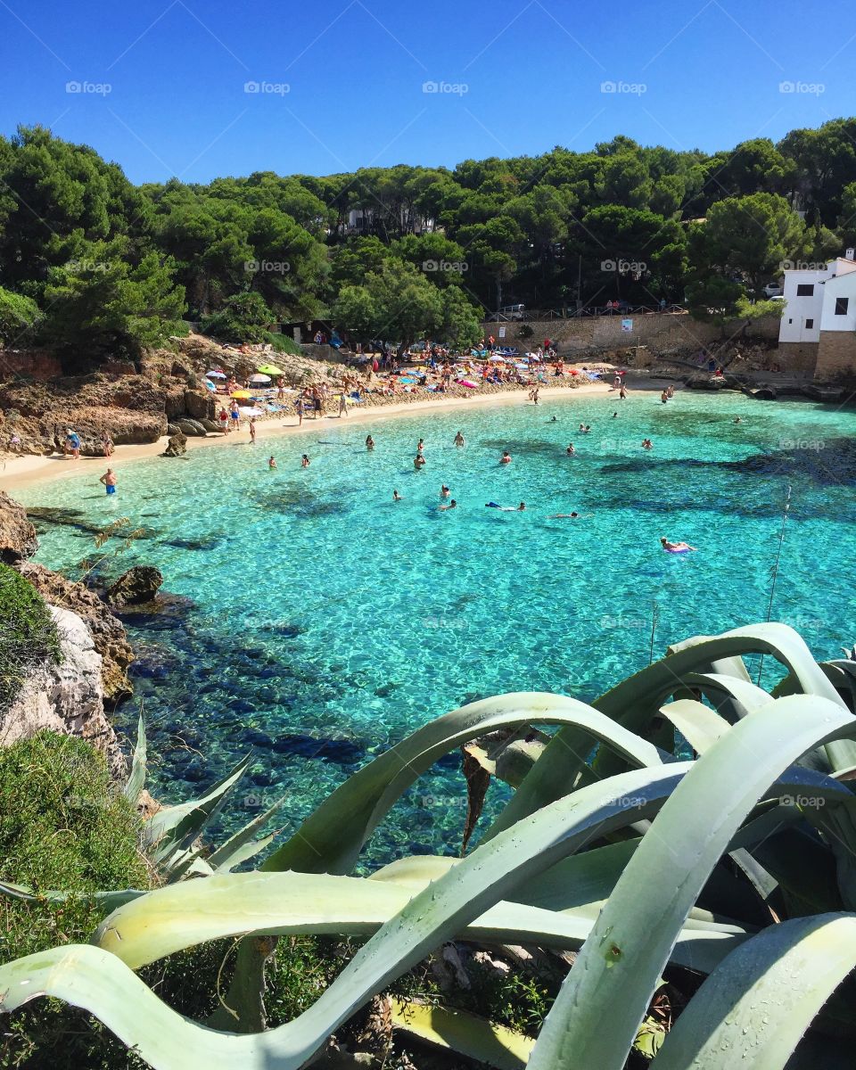 Cala mallorca