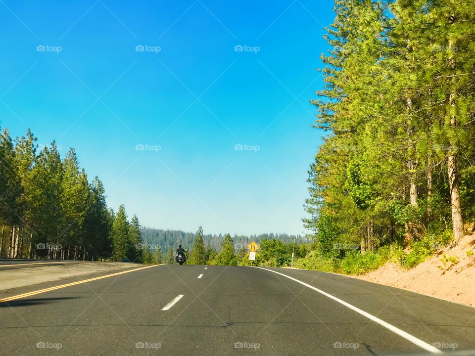 Free run in the country 