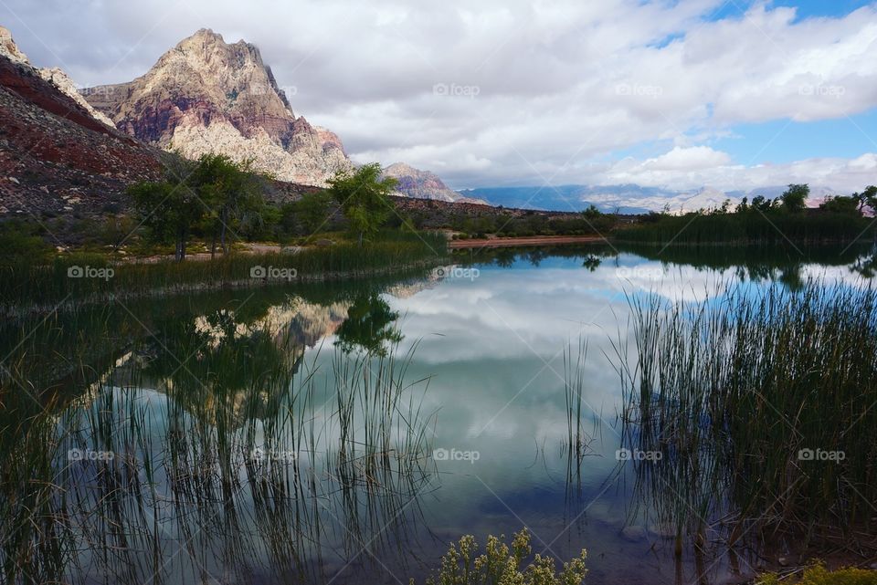 mirrored lake at spring Mountain, Nevada