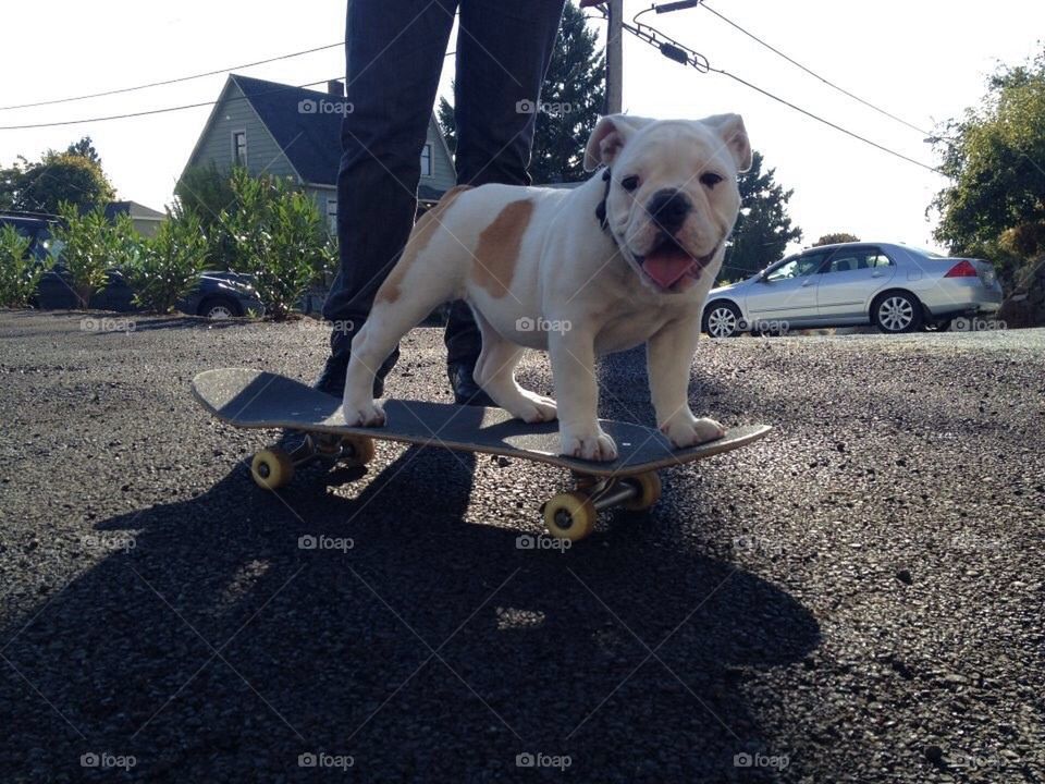 Skater girl.