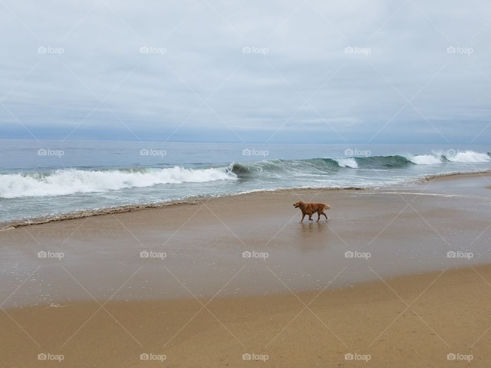 Sand, Beach, Water, Surf, No Person