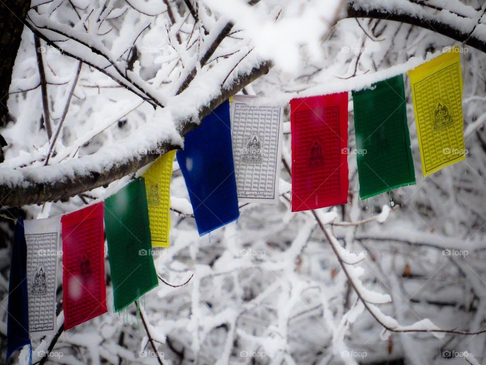 Prayer Flags