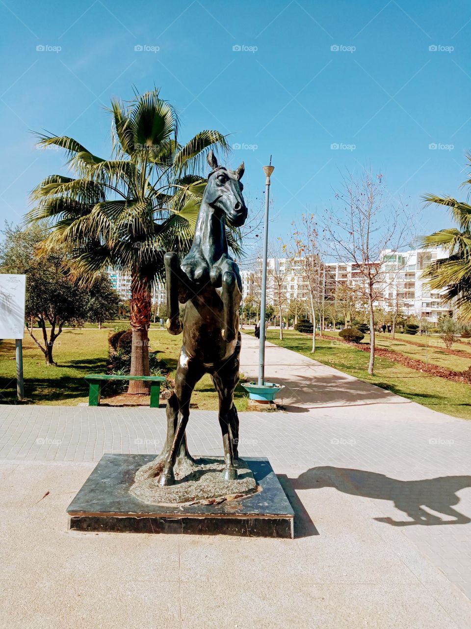Portrait hourse in parc