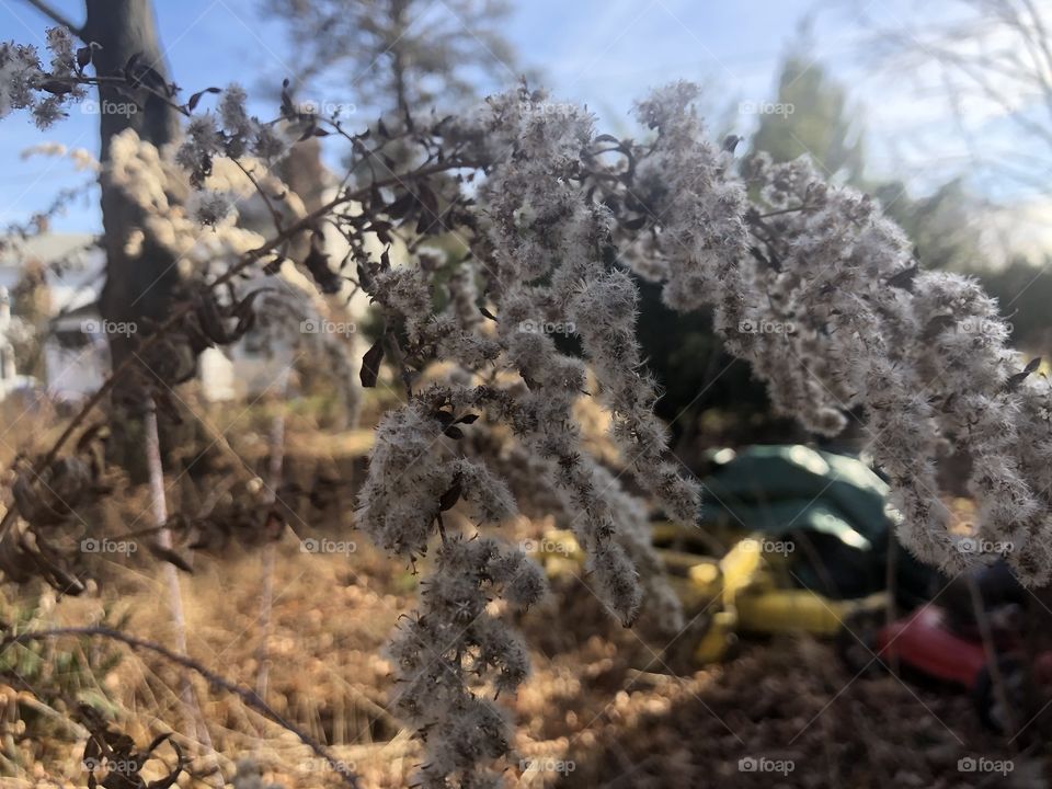 A nice fall crisp day
