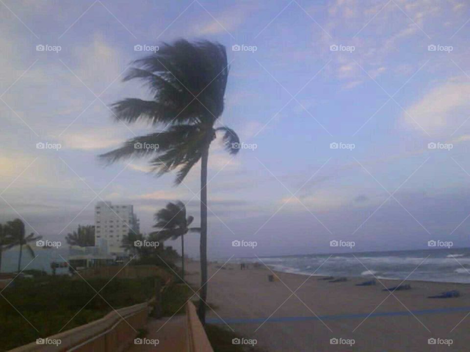 Rain, Cloudy  South Beach, palm trees