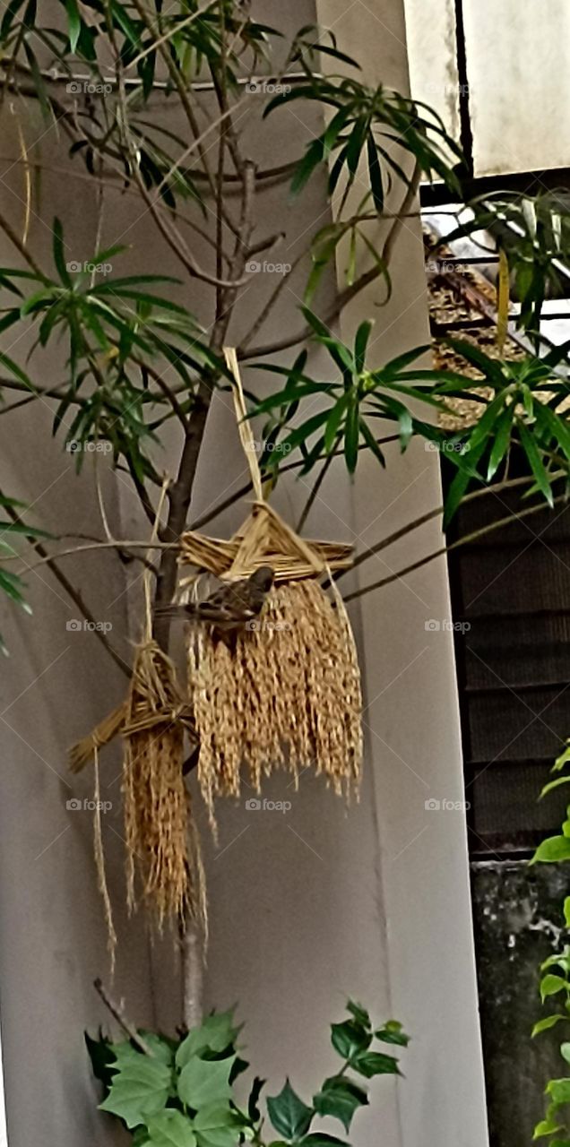 very happy with the food